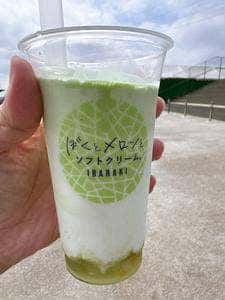 ぼくとメロンとソフトクリーム。