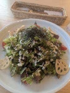 さがんれすとらん 志乃 空港店