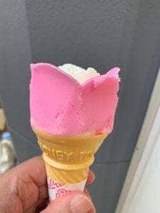 児玉冷果