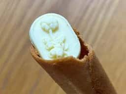 タルティン ジェイアール名古屋タカシマヤ店