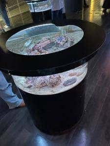 コーラルカフェバー アクアパーク品川