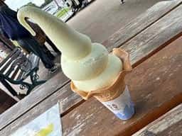 いちCafe 道の駅いちかわ