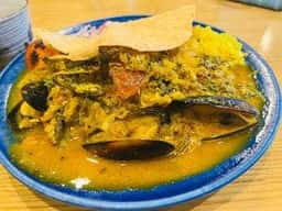 dahlia spice curry