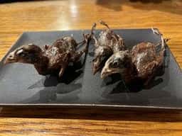 米とサーカス