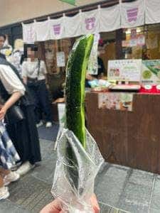 けんちゃん漬 出雲大社店