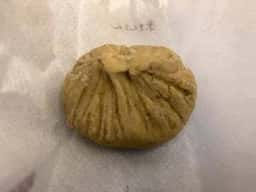 栗きんとん本家 すや JR名古屋高島屋・直営店