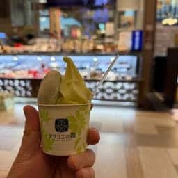 アグリエの森 mitte