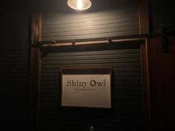 Shiny owl