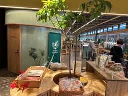 レストラン なぎの木キッチン