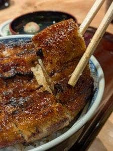 濱松地焼 鰻 まさ