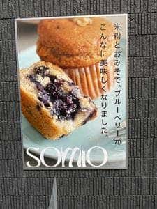 somio