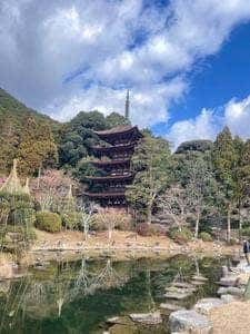 瑠璃光寺庭園内お茶店