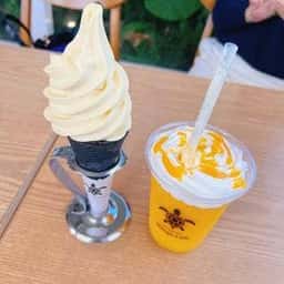 Blue Turtle Farm Mango Cafe