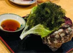 にぬふぁ星