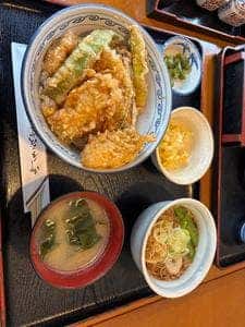 更科 美やこ