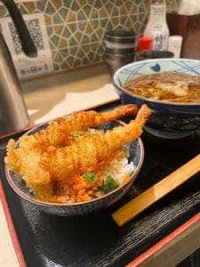 とろぼっち