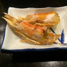 春駒