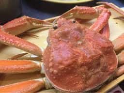 光泉