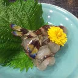 鮨処よし田