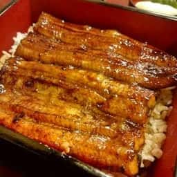 うな菊