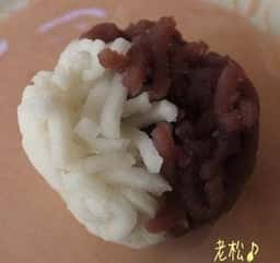 森八小田急町田店