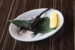 黒