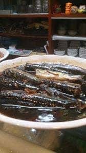 居酒屋寶珠
