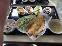 ドッグランカフェ加恋ちゃん家