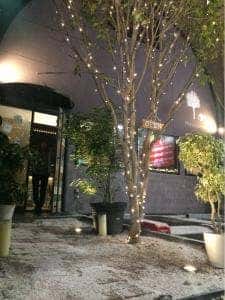 ツリーアンドエレファント