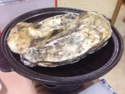 ビジネス旅館 過雁荘