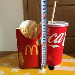 マクドナルド 1号線丸子店