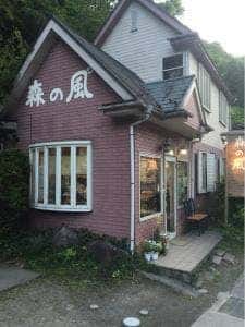森の風゜