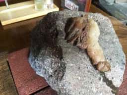 ほこすぎ