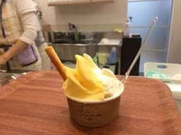 GELATERA Vivo