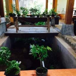 四季 俵屋