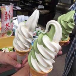 矢野自作園