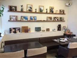 aN's cafe