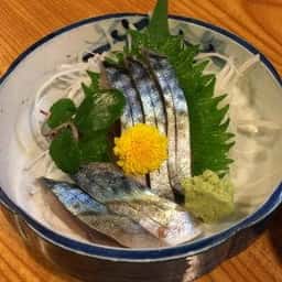仙人鳥