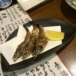 二舞烏