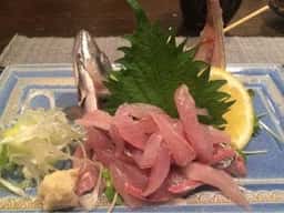 馬酔木