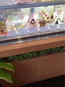 シェカズ