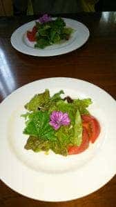 TRATTORIA TOMATO