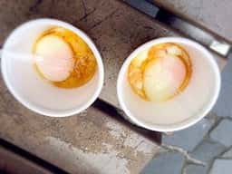 花兆庵