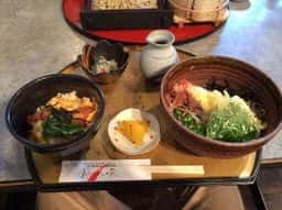 だいこんの花