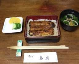 泰朋