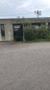 グラスオニオン