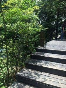 MAHO-ROBA -forest-
