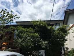 やおき
