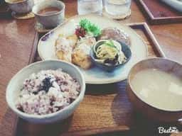 さわやどり