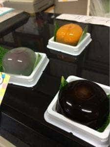 松田陽明堂